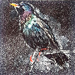 Adiós Prisión. Die Geschichte einiger spektakulärer Ausbrüche – Juan José Garfia (out of stock)