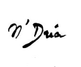 n’Dréa – Der Kampf einer Frau auf ihre Weise zu sterben (out of print)